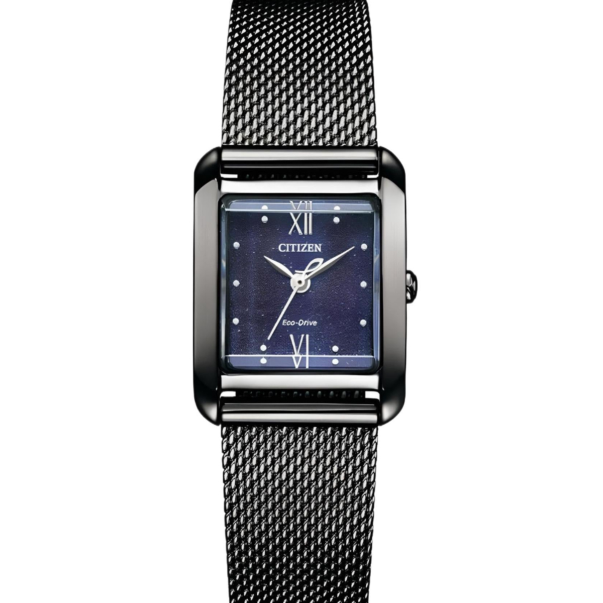 Citizen L Series | EW5597-63L Women’s Eco-Drive "Stardust"