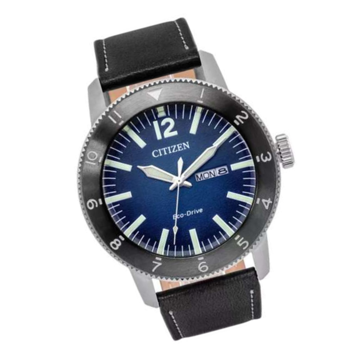 Citizen Eco-Drive Men's Watch AW0077-19L