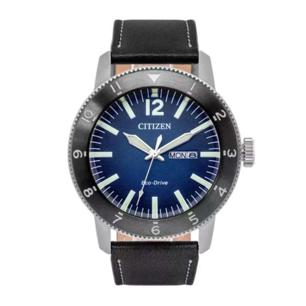 Citizen Eco-Drive Men's Watch AW0077-19L