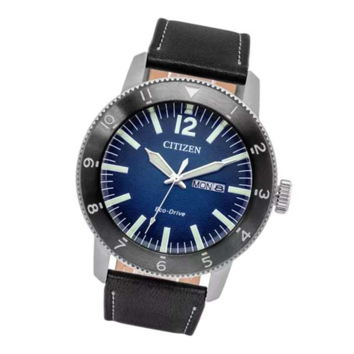 Citizen Eco-Drive Men's Watch AW0077-19L
