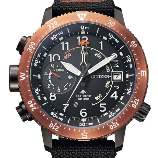 Citizen BN4049-11E Eco-Drive Compass Diving Watch