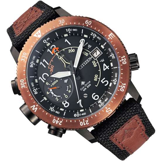 Citizen BN4049-11E Eco-Drive Compass Diving Watch