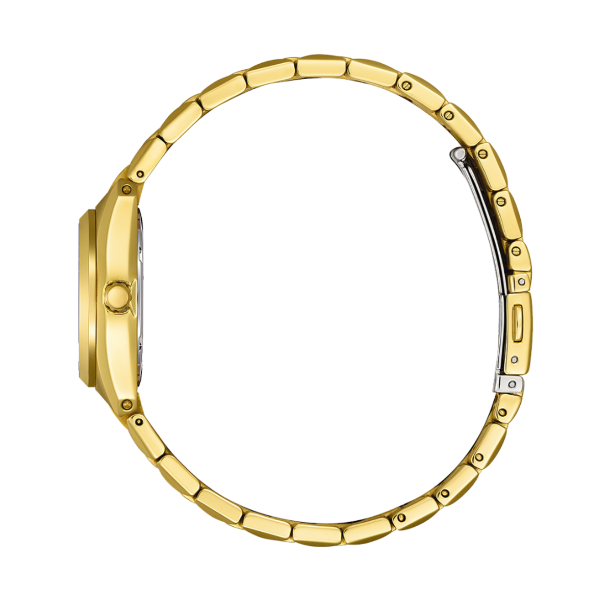 Citizen Eco-Drive Women EW2293-56E Watch