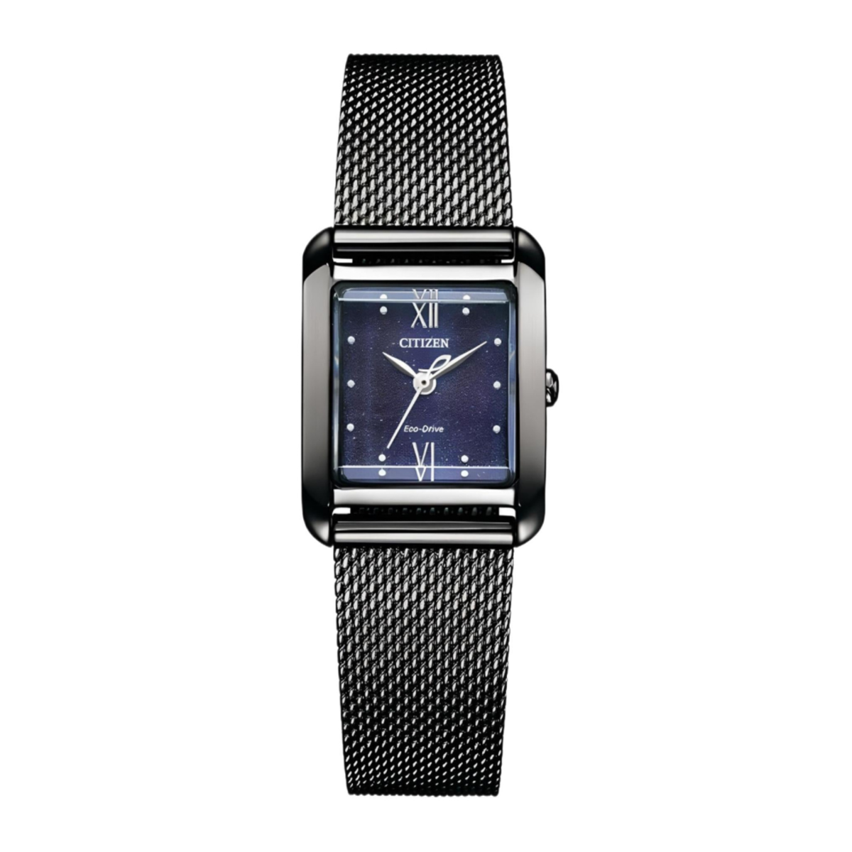 Citizen L Series | EW5597-63L Women’s Eco-Drive "Stardust"