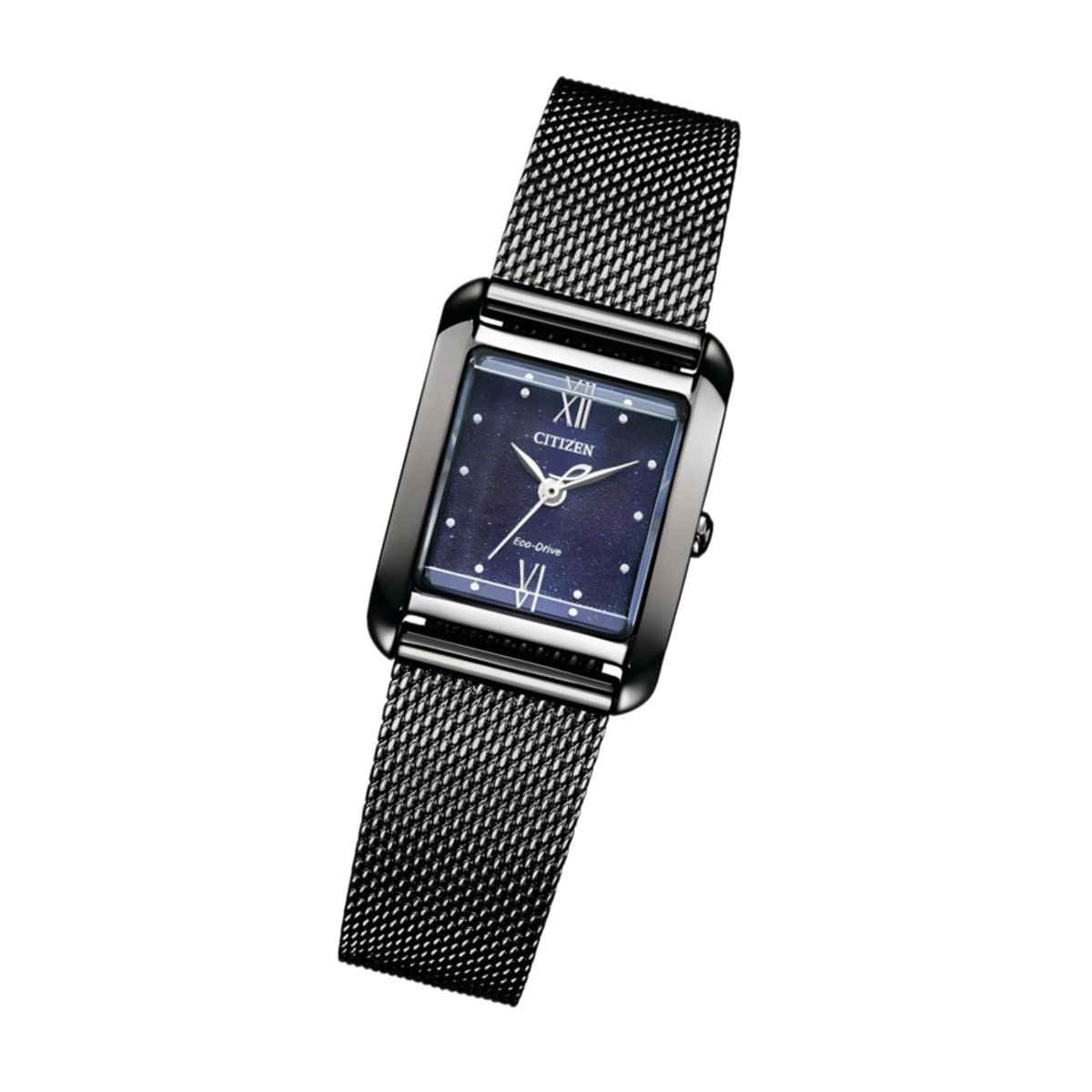 Citizen L Series | EW5597-63L Women’s Eco-Drive "Stardust"