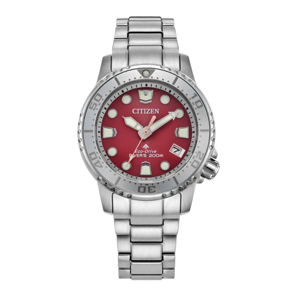 Citizen Promaster E02027-50Z Women's Eco-Drive Watch